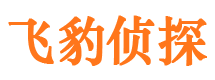 甘孜捉小三公司